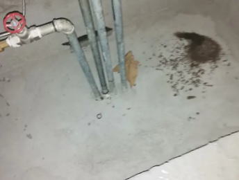 闽侯卫生间测漏水价格明细