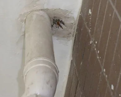 闽侯漏水检测哪家好